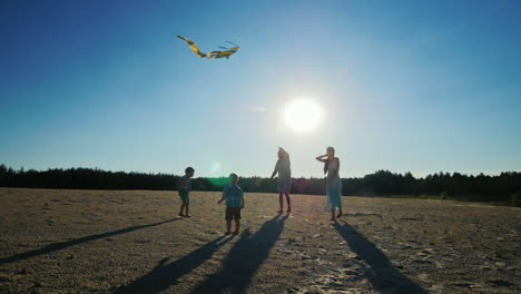 happy family fun - runs into the sky kite