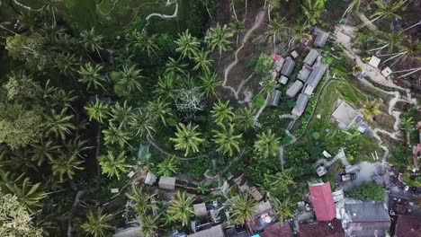 bali ubud tegalalang rice terrace paddies fields main road aerial scenery