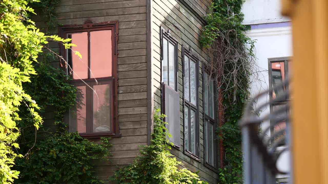 Old House with Windows and Greenery