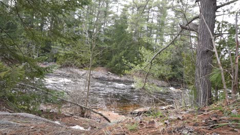 Atemberaubender-Fluss-Mit-Schneller-Strömung-Und-üppiger-Grüner-Vegetation