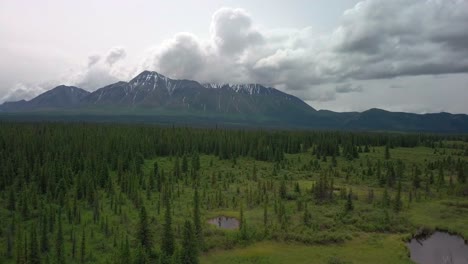 spectacular scenic yukon flight above green tree forest, vegetation and ponds in valley towards mount decoeli mountain range in kluane national park on cloudy day, canada, overhead aerial approach