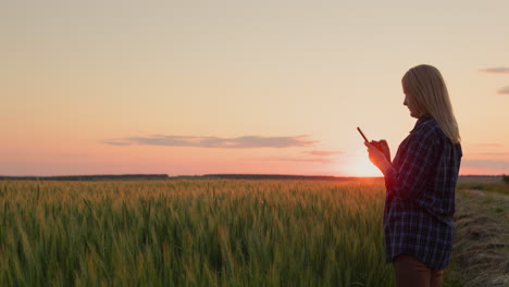 una mujer granjera de pie contra el fondo de un campo de trigo al atardecer, usa un teléfono inteligente.