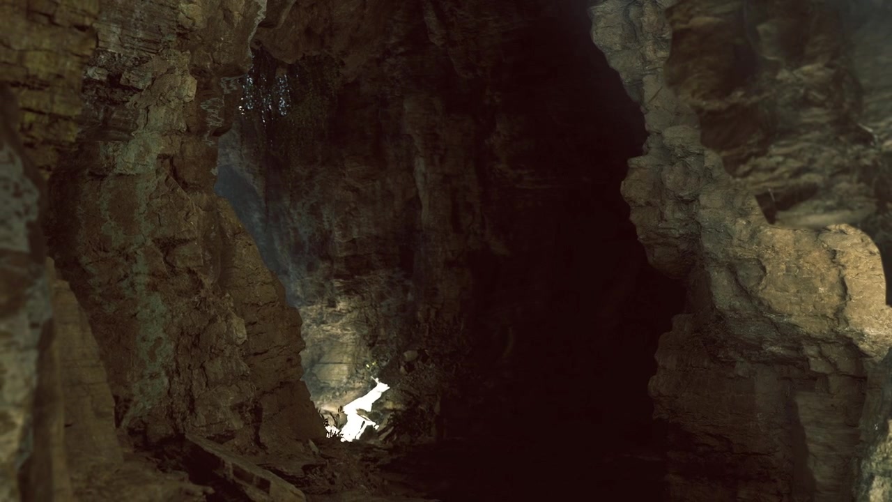 Zone illuminate intensamente si distinguono nettamente da fessure in ombra e muschi