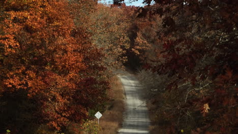 Luftaufnahme-Der-Forststraße-Im-Herbst-In-Ar,-USA---Drohnenaufnahme