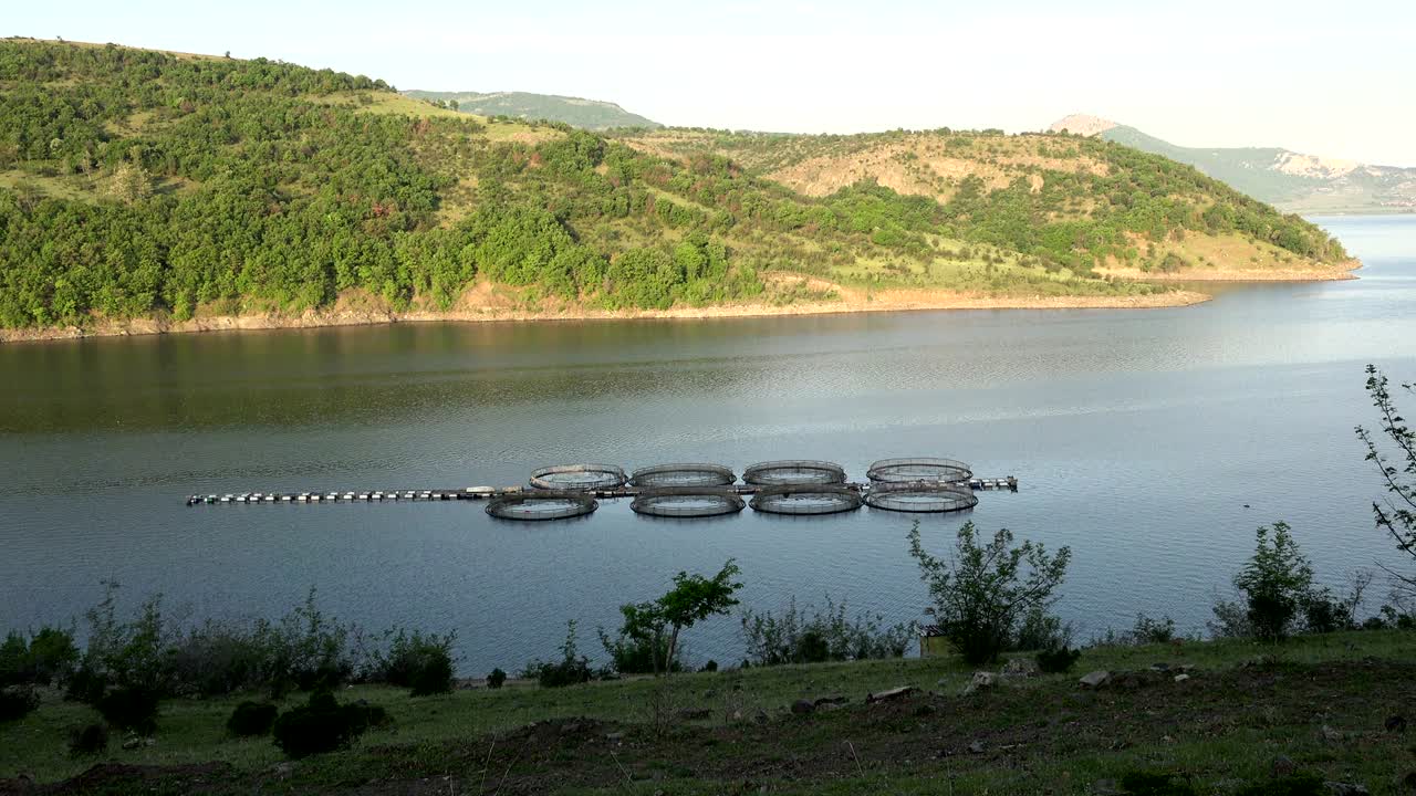 Fishpond in а dam