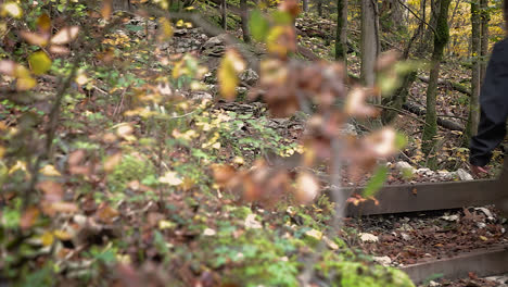 backpacker in pants and jacket climbing up stairs, outdoors forest hiking trail