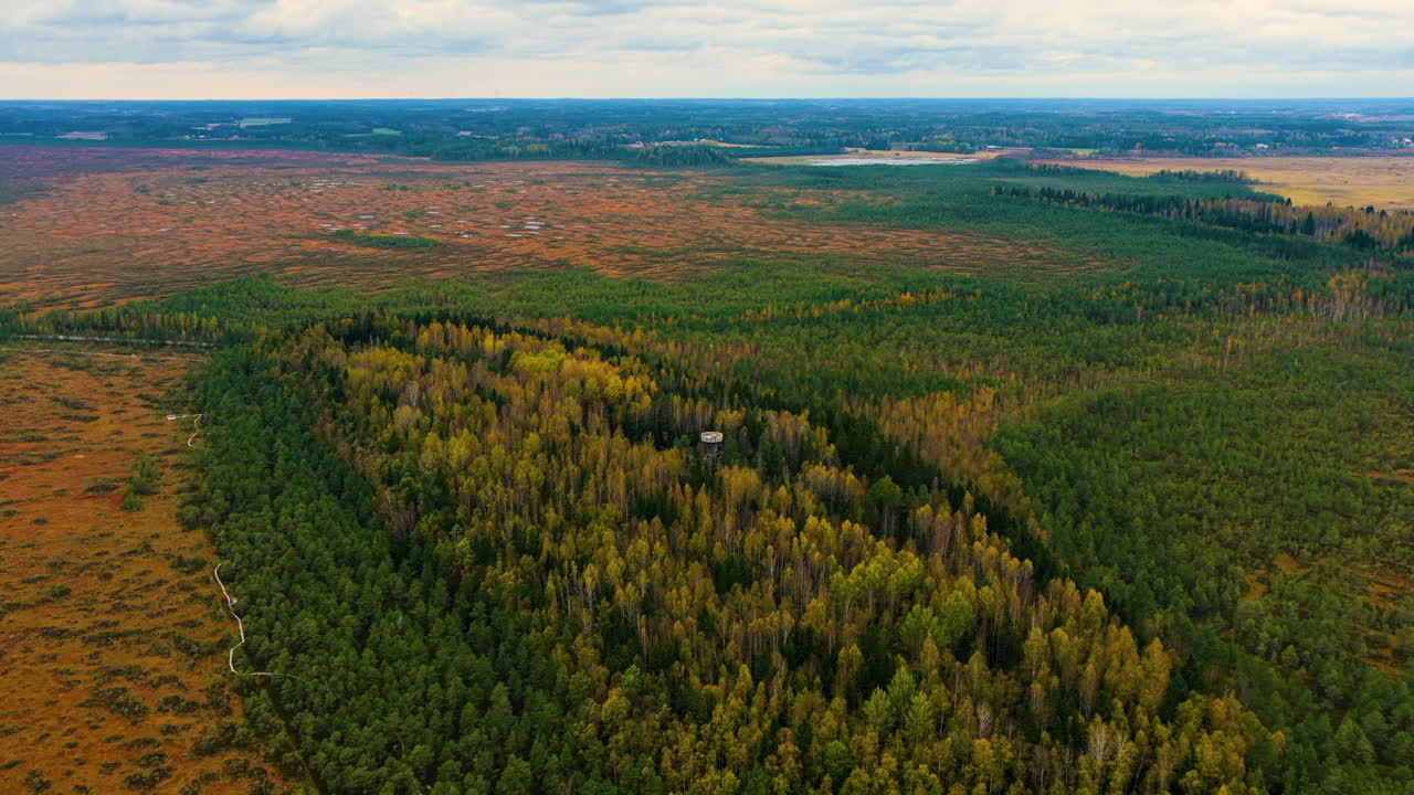 Aerial view toward the watch tower in Torronsuo national park, fall in Finland