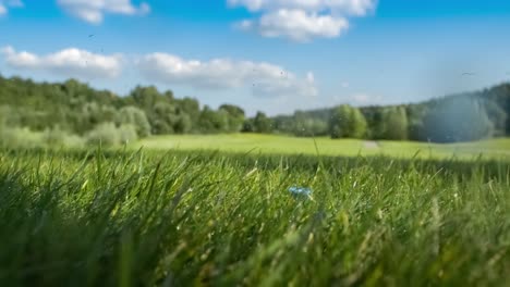 Der-Golfschläger-Schlägt-In-Superzeitlupe-Auf-Einen-Golfball.-Nach-Dem-Aufprall-Steigen-Morgentautropfen-Und-Graspartikel-In-Die-Luft.