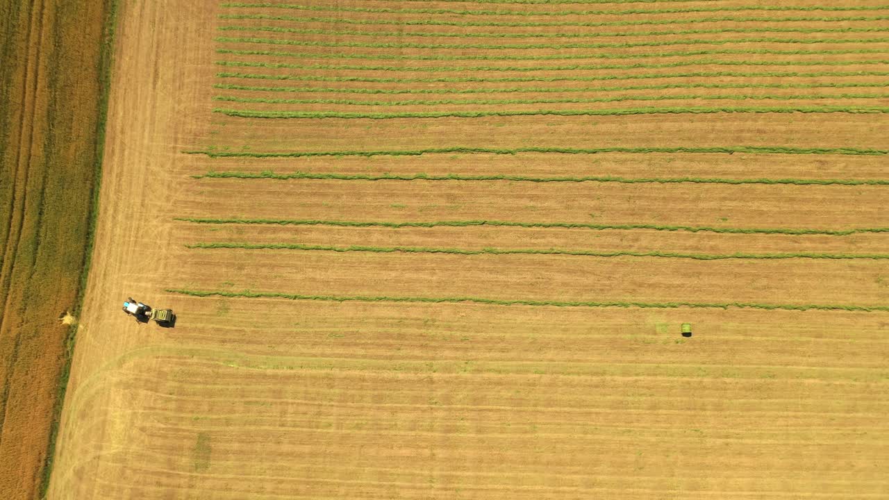 Top view of the field and tractor working on it. Agricultural machine on the natural rural landscape in summer. Aerial view.