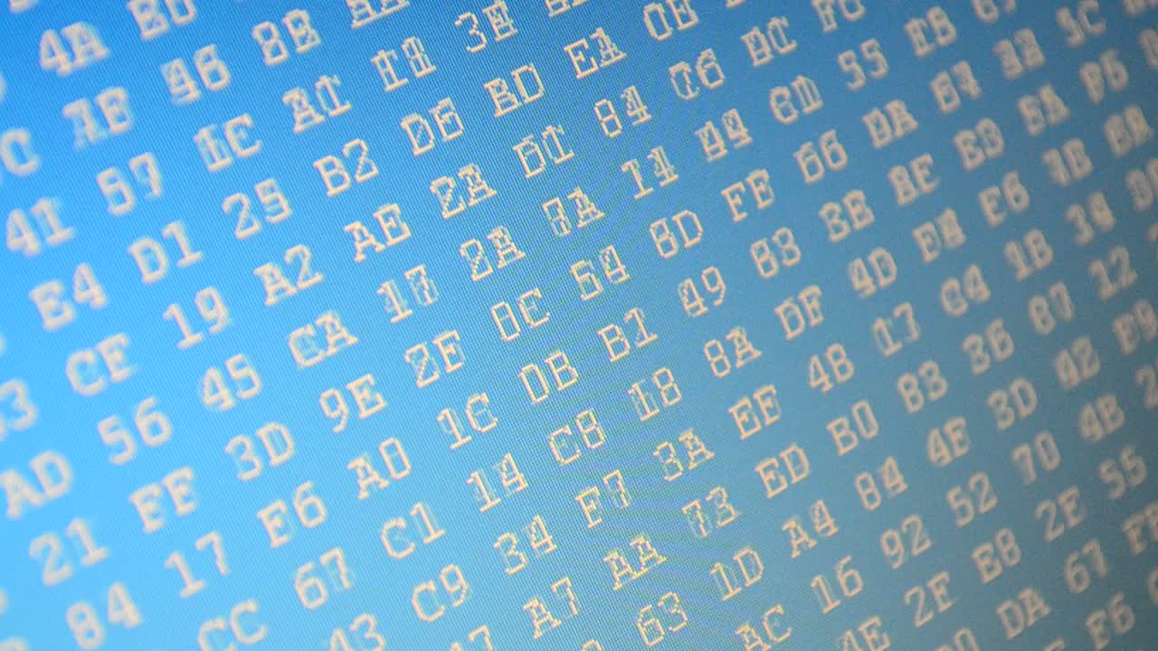 Beautiful foreshortening of a code. Hexadecimal program code on screen. Animated background of moving binary code numbers. Figures on a blue background