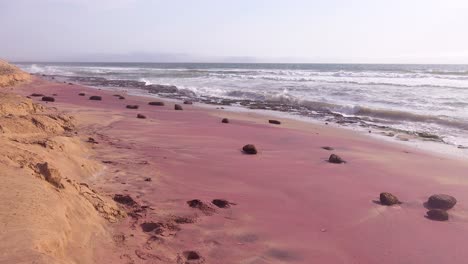 Los-Granates-Rosas-Y-Otras-Piedras-Geológicas-Forman-Una-Playa-Rosada-A-Lo-Largo-De-La-Costa-De-Los-Esqueletos-De-Namibia