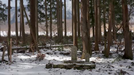 Small-Jizo-guardian-statues-in-Japanese-Snowy-Forest,-Push-forward-Shot