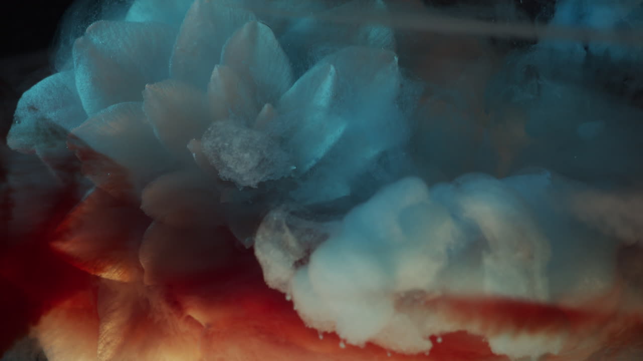 White flower in water blue ink falls in slow motion abstract