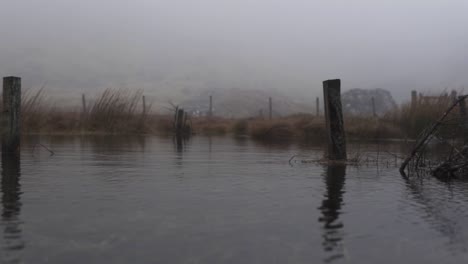 slow motion: moody scene of misty moorland in the scottish highlands