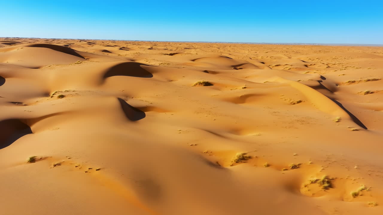 Dune dorate del deserto riprese dall'alto sotto un cielo blu, vasto mare di sabbia illuminato dal sole con creste ondulate, ombre profonde, vegetazione rada.