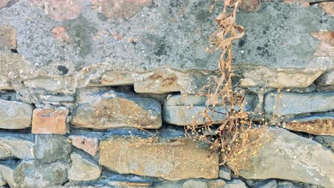 close-up of a rustic stone and brick wall