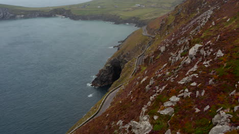 Fly-along-rocky-escarpment-steeply-falling-to-sea.-Grown-with-colourful-vegetation.-Car-driving-on-panoramic-route-in-middle-of-slope.-Ireland