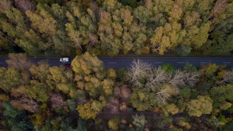 Aerial-View-Of-Asphalt-Road,-Forest-And-Cars-During-Autumn-In-Hel-Peninsula,-Poland