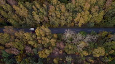 aerial view of asphalt road, forest and cars during autumn in hel peninsula, poland