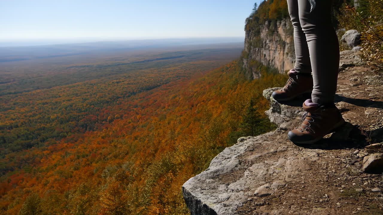 A person stands on a cliff overlooking a vast autumn forest