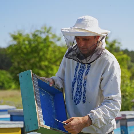 apiarist with wooden box on a bee farm. experienced beekeeper in protective hat working on bee farm in summer. eco honey farming.