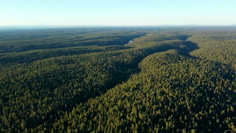 Vorbei-An-Den-Apache-Sitgreaves-Nationalwäldern