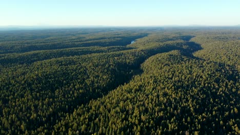 pasando por los bosques nacionales apache-sitgreaves