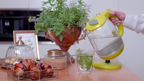 Tabletop-electric-kettle,-hand-pouring-boiled-water-into-glass-with-tea-leaves