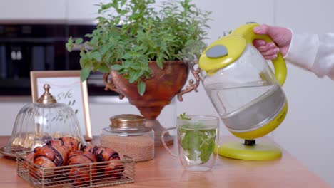 caldera eléctrica de mesa, vertiendo a mano agua hervida en un vaso con hojas de té