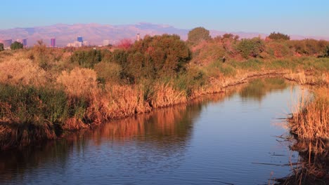 Nevada-wetlands-in-the-Las-Vegas-sububurbs-with-view-of-Las-vegas-Strip