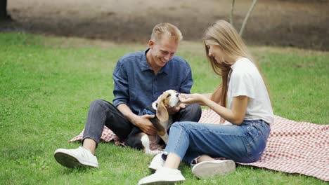 un tipo con una chica en un picnic pasa tiempo con los peligros de una mascota. en el parque con el perro. felicidad, mascotas