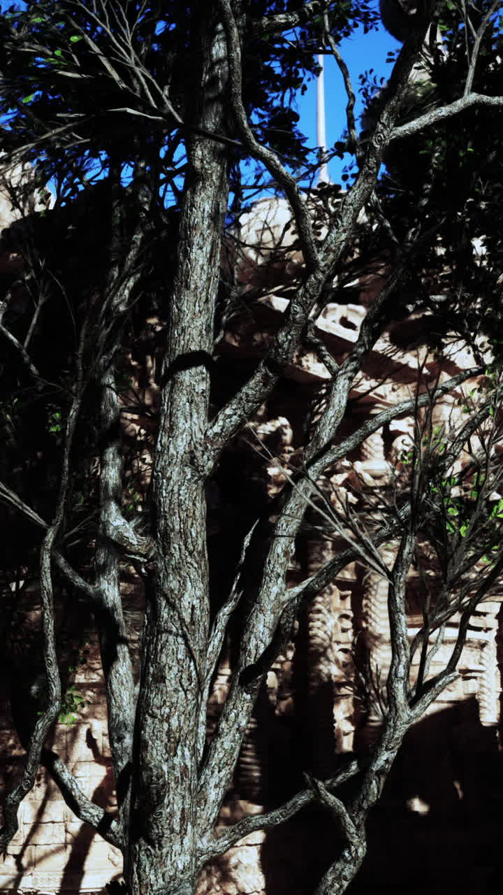 나무 들 에 의해 부분적 으로 가려진 고대 돌 건물