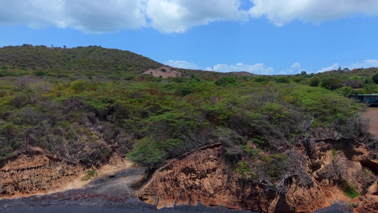 Fitta foresta e terreno montuoso si ergono sopra la costa di sabbia vulcanica scura a Playa Negra sull'isola di Vieques, Porto Rico. Ripresa aerea con tilt-up