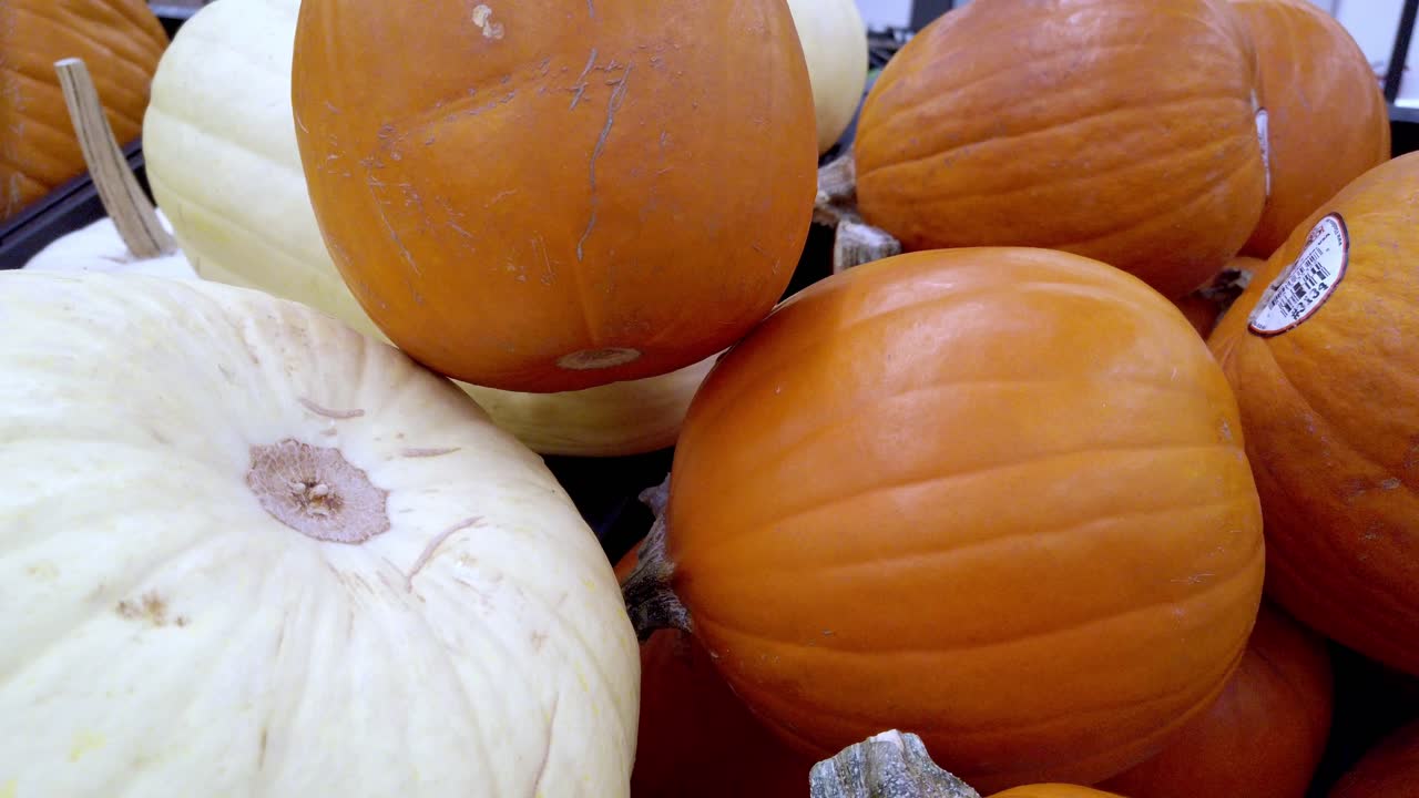 Fixed shot showing different types of pumpkins and squashes piled together, including orange and white varieties