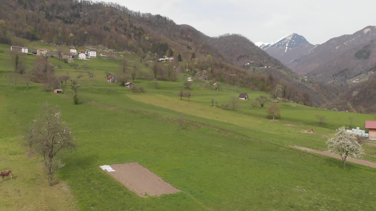 воздушные сельские пастбища в сельской местности словении, пастбища коров, облачный день, дрон