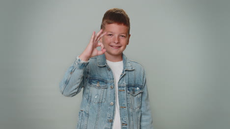 toddler kid boy looking at camera showing ok gesture, like sign positive, approve something good