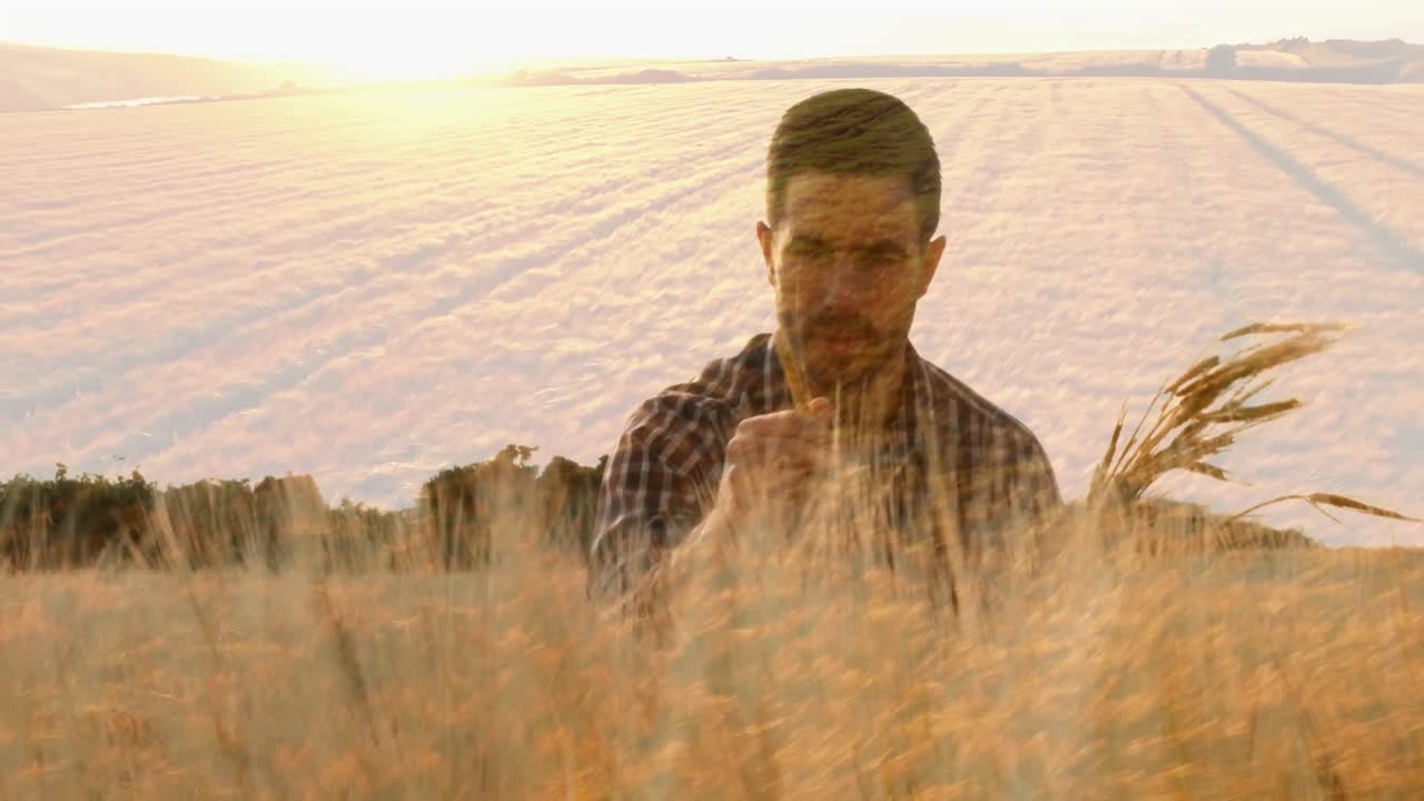 농부 가 농작물 을 점검 하는 것 4k