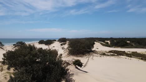 Moving-drone-view-of-an-Australian-native-sand-dune-landscape-revealing-a-distant-city-skyline