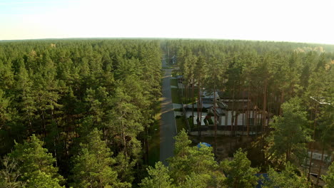 luxury forest estate district on sunny evening, aerial descend view into forest over street