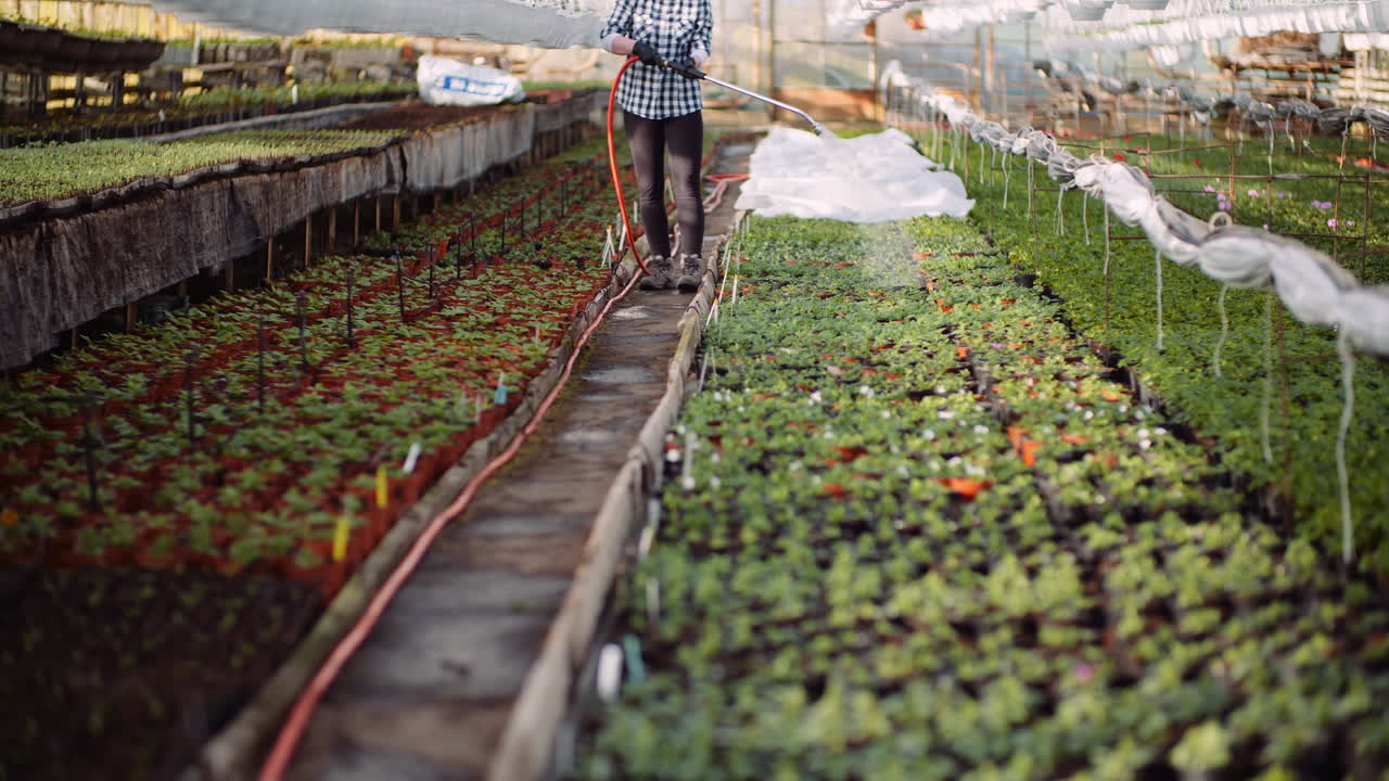온실에서 꽃에 물을 농업 정원사 3