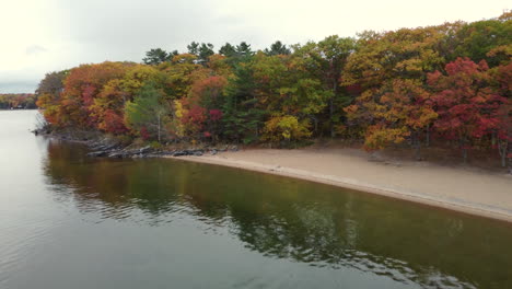 Beautiful-drone-flyover-of-pine-trees-and-a-lake-on-a-gray-but-also-colorful-fall