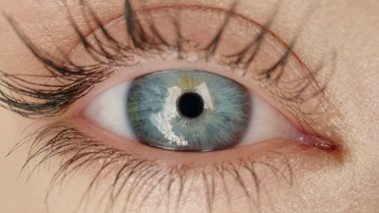 야외에서 자연의 아름다움을 보며 아이리스에 반사되는 거대한 눈을 가게 바라보고 있습니다.