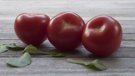 tomate orgánico fresco rojo, vídeo uhd 4k 2160p 25fps - inclinación lenta sobre fondo de alimentos vegetales de tomate húmedo 4k 3840x2160 material ultrahd