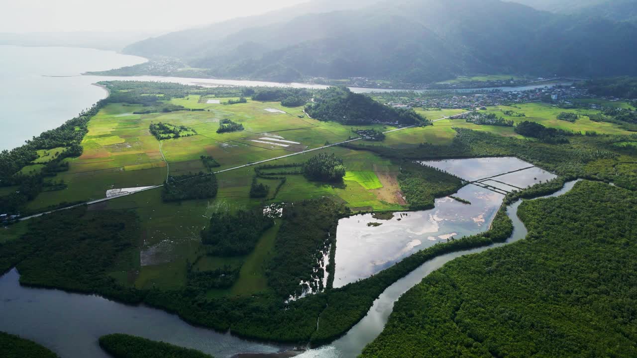 Aerial drone shot of lush valley with vibrant rice fields, mangrove forests and river at tropical island province Catanduanes, Philippines.