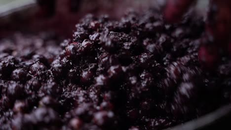 brazilian woman is hand processing acai fruit in rural brazil