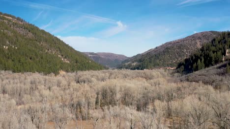 Kahle-Bäume-In-Den-Bergen-Colorados-Mit-Heranziehendem-Drohnenschuss