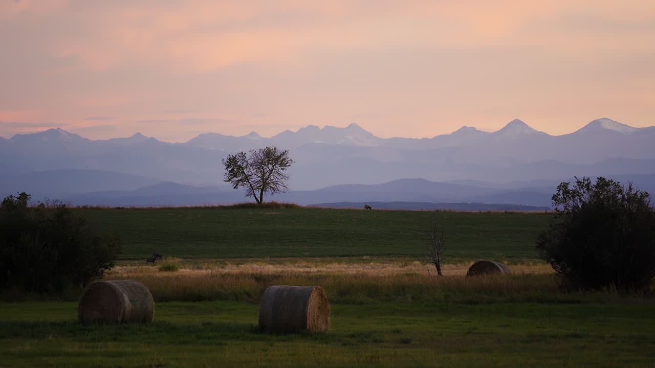 balas redondas de heno en el campo de la granja con el pastoreo de ciervos, silueta de la montaña al atardecer
