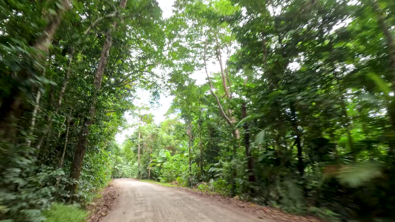 A serene drive along a dirt road through dense, vibrant rainforest in Port Douglas, showcasing natural beauty and tranquility