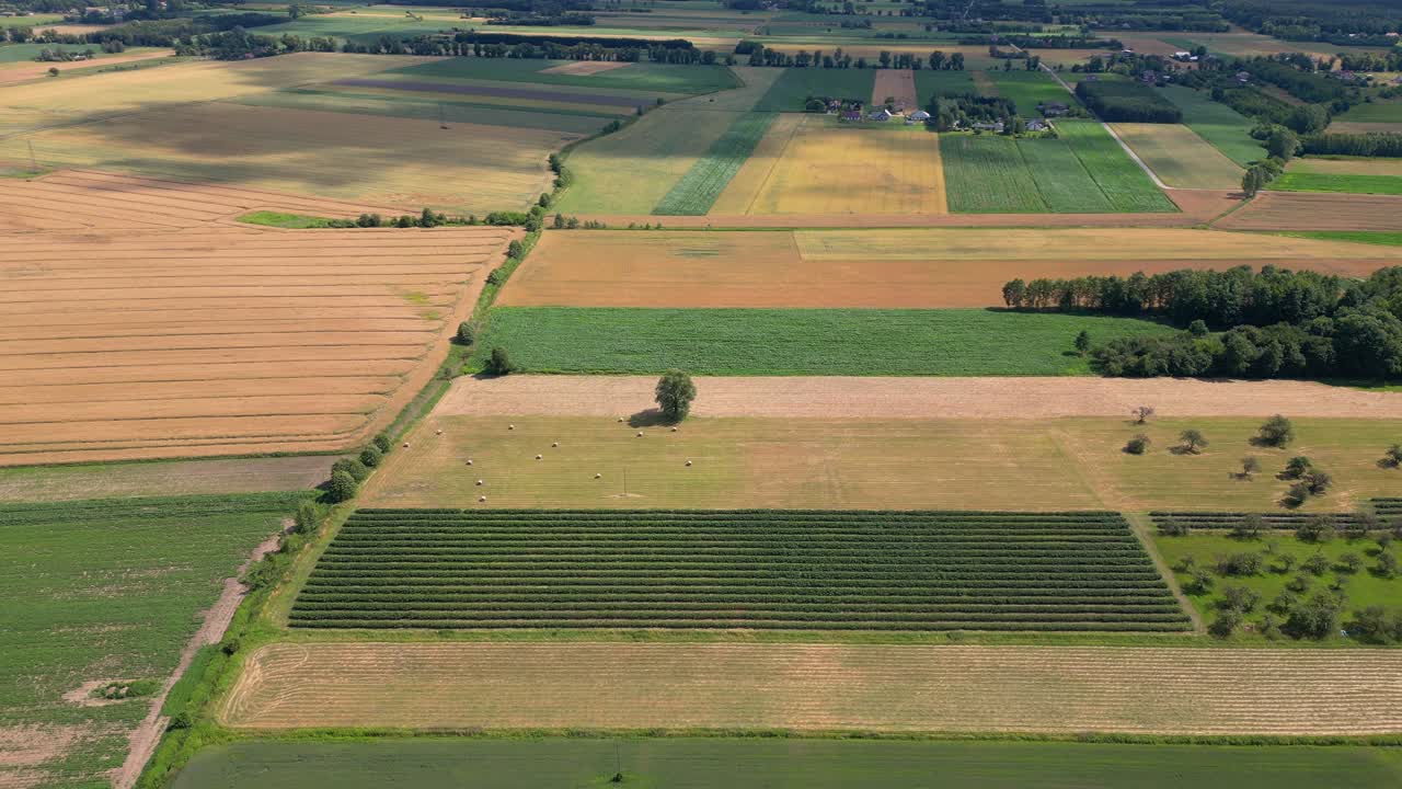 Aerial view with the landscape geometry texture of a lot of agriculture fields with different plants like rapeseed in blooming season and green wheat