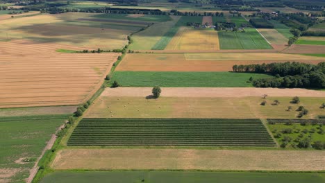 Luftaufnahme-Mit-Der-Landschaftsgeometriestruktur-Vieler-Landwirtschaftlicher-Felder-Mit-Verschiedenen-Pflanzen-Wie-Raps-In-Der-Blütezeit-Und-Grünem-Weizen